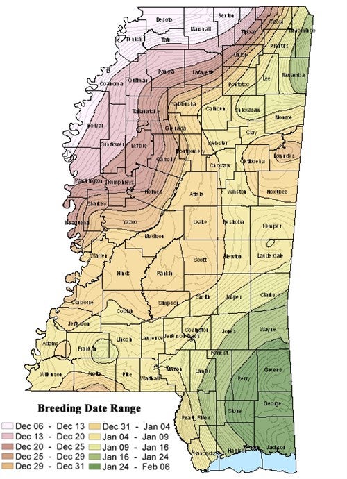 "Mississippi