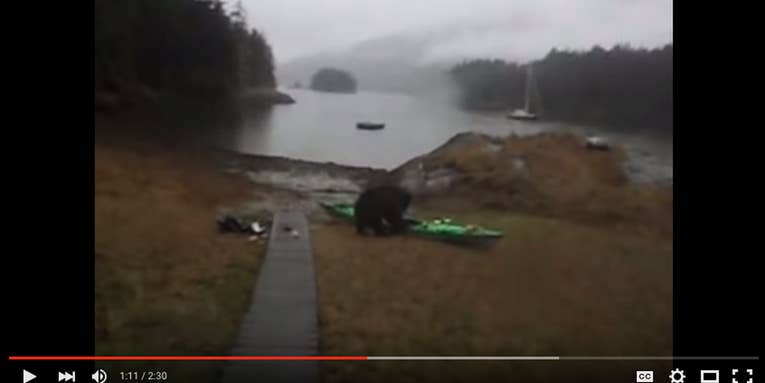 Video: “Bear! Bear! You’re Breaking My Kayak. Why Are You Doing That?”