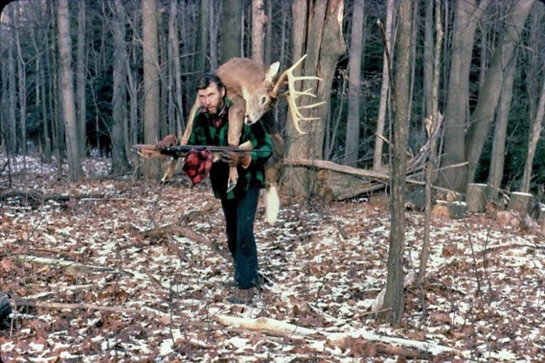 Adirondack hunting deer
