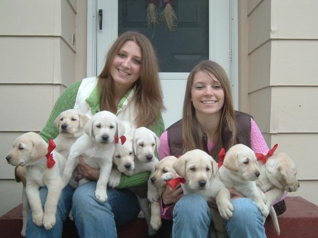 My Yellow Lab had a litter of puppies in late August and we took the picture of my Daughters trying to hold all 9 for a christmas card picture. we lucked out and we got a good picture after multiple attempts!!!!
