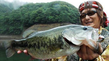 The Japanese Way: Using Techniques From Across the Pacific on U.S. Summer Bass Lakes