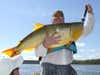 Have fished a section of the Uruguay River known as "La Zona" for giant dorado the past 3 years. My largest to date is 45 lbs with 8 so far over 40 lbs. Fantastic fishery.