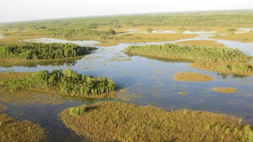Florida Legislature Votes to Build Reservoir to Combat Toxic Algae
