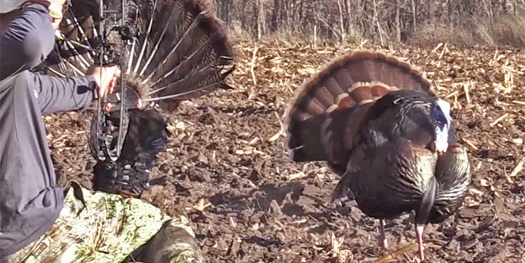 How to Reap Turkeys, with the Original Turkey Reaper