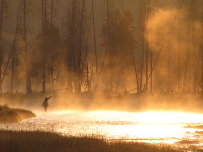 I snapped this photo while having a cup of coffee near the madison campground in Yellowstone NP. Fisherman: unknown