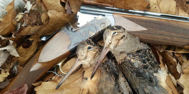 Shooting Lessons from a Limit of Woodcock