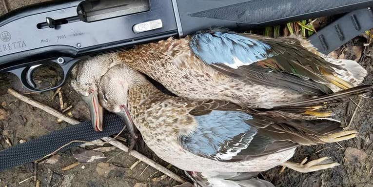 How to Shoot More Teal This Season