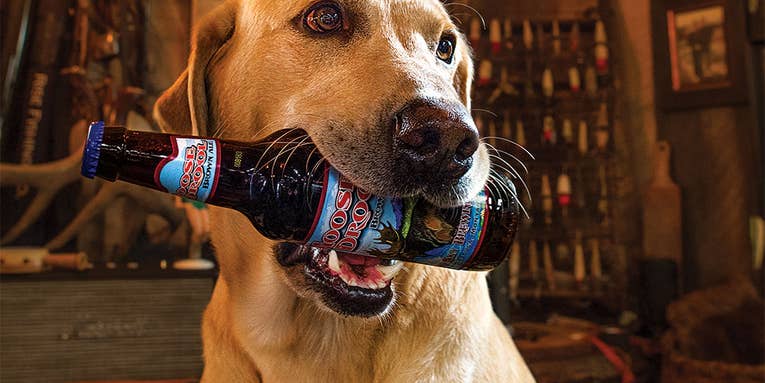 How to Teach a Dog to Fetch Beer
