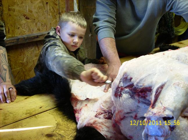 Here's my pal Jesse, 8 years old, learning how to help skin a bear. Nothing better than sharing the outdoors with our youth.