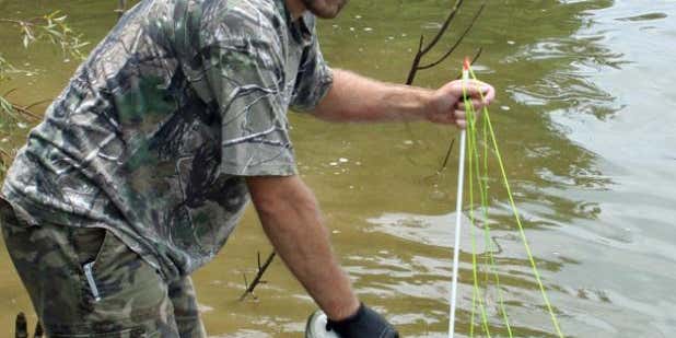 Bowfishing Gear Guide: 8 Must-Have Items for More Fun and Fish