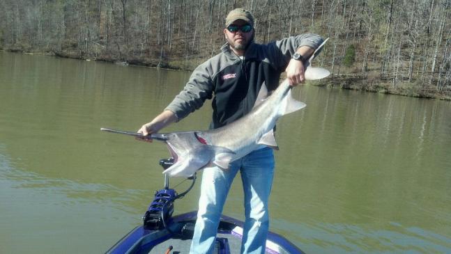 I caught this Paddlefish on December 31, 2011 with my bare hands in the Warrior River. Paddlefish are protected and must be release unharmed, as this one was.