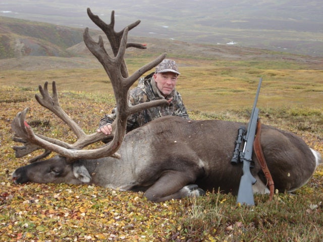 A nice fat caribou that my friend got this fall.