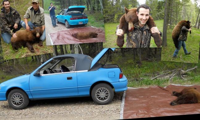 We drove out for the spring bear hunt multiple times without success. The hunting budget was drained so we had to improvise and drive the 45 MPG convertible Geo metro. It was cold and noisy, but it's a good thing that we got out that last weekend! Got our first bear!!!