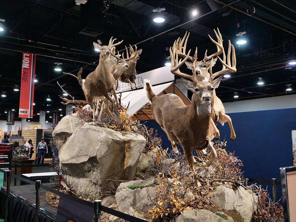 sci convention whitetail taxidermy