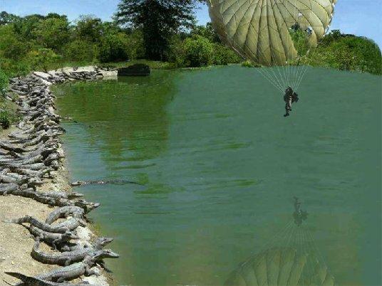 <strong>Landing Site</strong><br />
Moral of this story: Never take skydiving lessons from an alligator farmer. True or false?