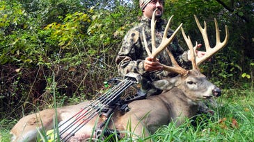 Big Buck Alert: 14-Point, 198-Inch Gross Typical Buck Tagged on Ohio Archery Opener