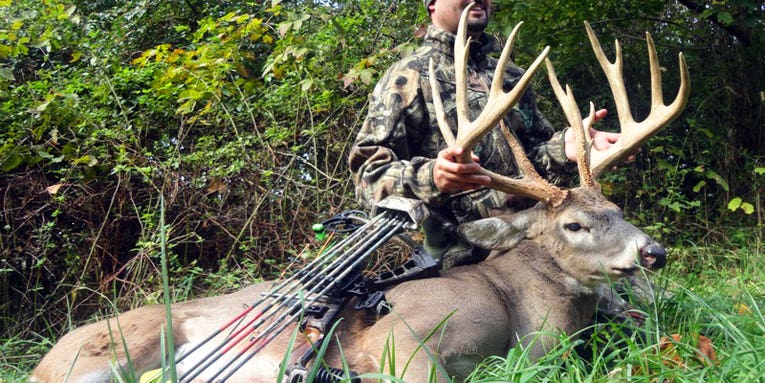 Big Buck Alert: 14-Point, 198-Inch Gross Typical Buck Tagged on Ohio Archery Opener