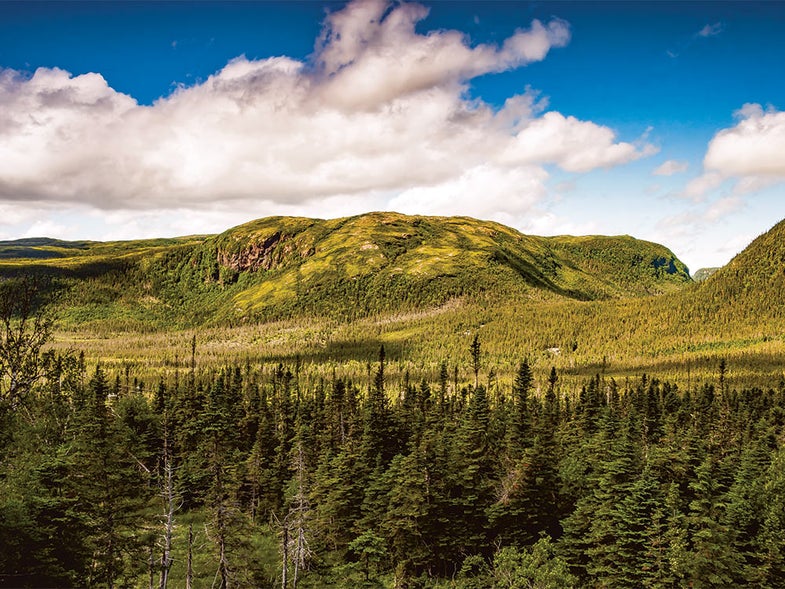 The Mountainous Terrain of Newfoundland