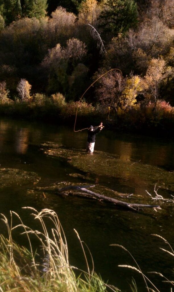 had a blast fishing the provo river late in october.It is a beautiful time of year!!!