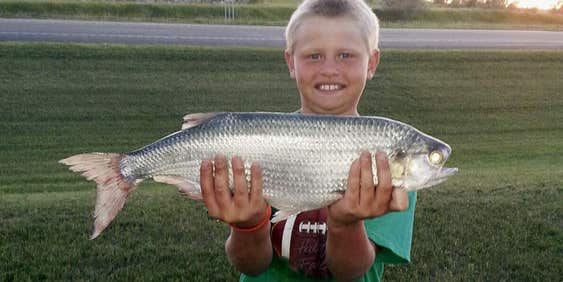 North Dakota Kid Catches Potential World-Record Goldeye