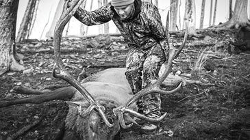 31 D.I.Y. Tips for the Ultimate Elk Hunt