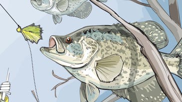 Three Tactics for Hooking Stubborn Spring Panfish
