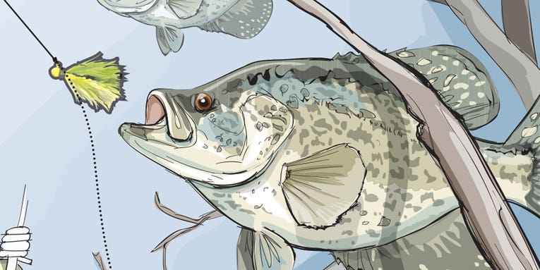 Three Tactics for Hooking Stubborn Spring Panfish