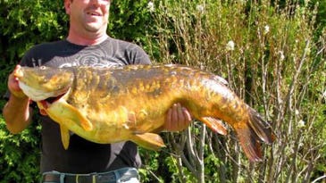 Massachusetts Bowfisherman Breaks 20-Year-Old Record With 46-Pound Carp