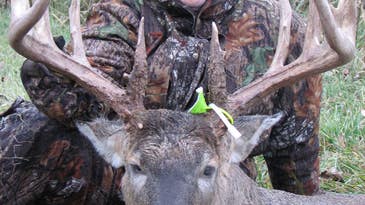 New Wisconsin State-Record Archery Buck: 14-Points, 189-Inches