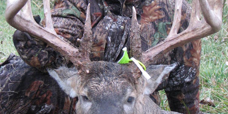 New Wisconsin State-Record Archery Buck: 14-Points, 189-Inches