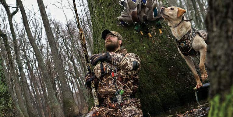 Why Hunting Mallards in Flooded Timber is So Great