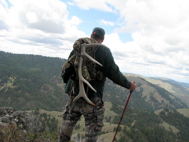 Hunting Elk sheds in the Steep Nasty Country in Idaho. An old 5x5 I drug up out of an absolute hole.