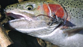 Are Hookless Trout Flies All The Rage?