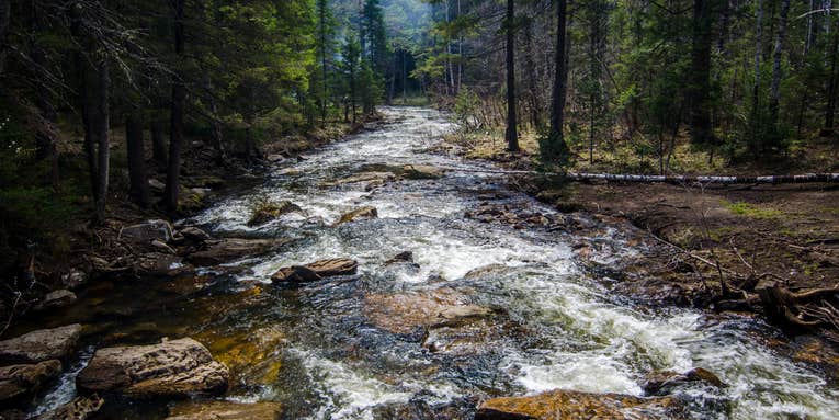 Opinion: Rolling Back the Clean Water Rule Would Be a Disaster for Sportsmen