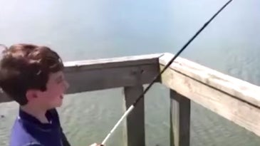 Video: Monster Alligator Steals Fish Off Kid’s Line