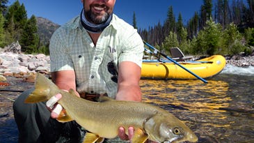 A DIY Pack Mule Fishing Adventure in the Bob Marshall Wilderness: Cutthroats and Bull Trout on the Flathead River