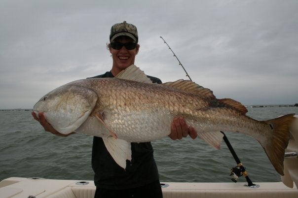 Fishing the jettis in Galveston me and my bud laid into the bulls. After forty five minutes on a bay rod this monster pulled up alonside the boat...