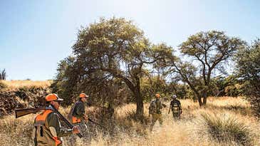 The Borderland: A Quail Hunting Adventure in the Southwest