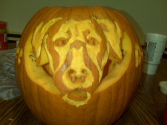 Carved this pumpkin as a portrait of my hunting dog PeeDee. He really hopes we win!!!