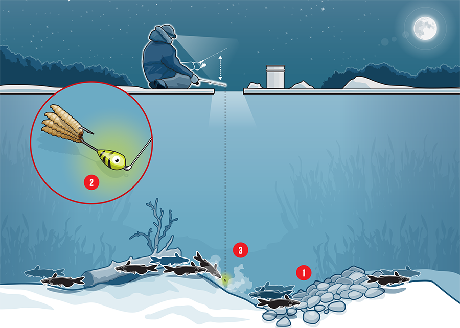 Illustration depicting ice fishing tips for catfish.