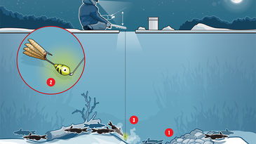 How to Catch Winter Catfish Through the Ice