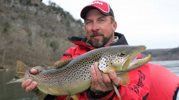 Trip Report: Big Brown Trout On The White River