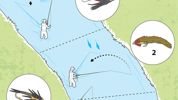 Fly Fishing Tactics: Drop-Back Attack for Steelhead