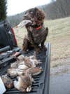 Dayton Tennessee quail hunt.