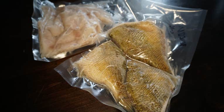 7 Tips on How to Freeze Fish
