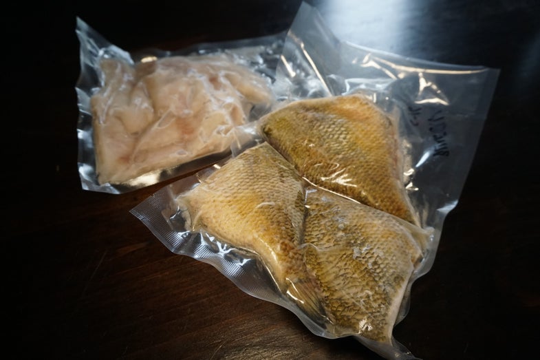 When packaging your fish for the freezer, eliminate freezer burn by storing it in vacuum-sealed bags.