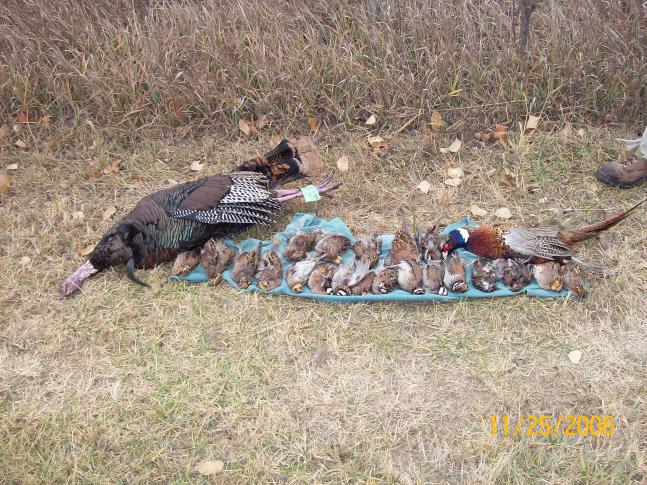 The last day of our hunting trip in Kansas. My dad, a friend and me shot these birds after a good week of hunting.