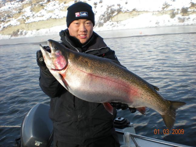 Dr Jerry Han holding an 18# 3oz rainbow caught on 1.03.09... on a special fly that Dr Han ties exclusivly. The fish was caught in sub zero weather on the 3rd of January, 2009 in the Columbia River. We caught numerous trout over five pounds, more than 10. It was unbelievable.