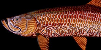 Photo Gallery: Your Fish Made of Leather