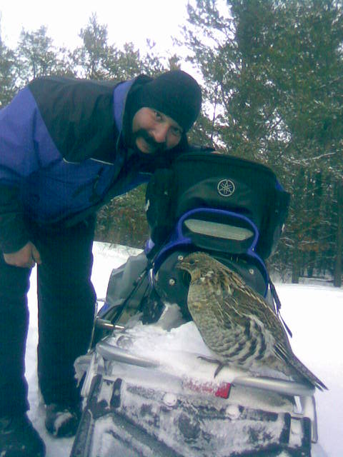 Taking a break from sledding trailside when this very large Grouse came out of the woods, circled us and then jumped up onto one of the sleds.